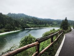 -武陵山森林公园