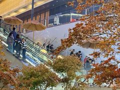 -石家庄万象城