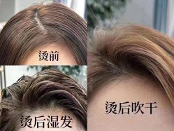 -YESIDO椰岛造型烫发染发