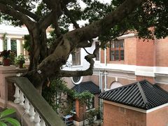 -香港大学
