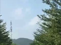 -亚龙湾国际玫瑰谷