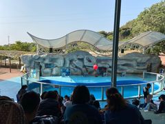 -泉州海丝野生动物世界