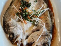 白蕉海鲈鱼-江南原著(中联广场店)