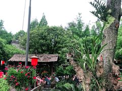 -青城甲(青城山店)