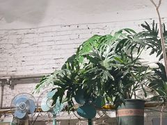 -孟林厨房(798店)