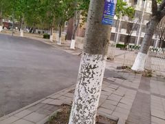 -EF英孚教育成人英语(伊势丹滨海店)