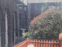 -上海崇明金茂凯悦酒店