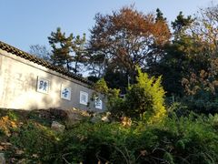 -泰州凤城河风景区-泰山公园