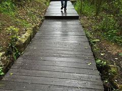 -大罗山风景区