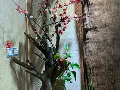 -路小缦·珍馐美馔(市心北路店)