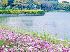-海珠湖公园
