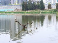 -将府公园
