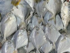 平鱼-金旭菜市场