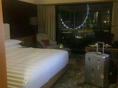 -新加坡文华东方酒店