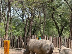 -北京野生动物园