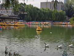 -团结湖公园