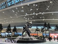 -青岛胶东国际机场
