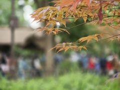 -成都杜甫草堂博物馆