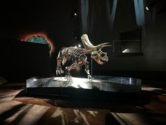 -墨尔本博物馆(Melbourne Museum)