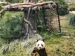-石排湾郊野公园