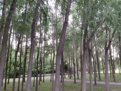 -长春公园(普阳街道)