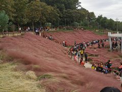 -令狐冲·炭烤活鱼(宝龙店)