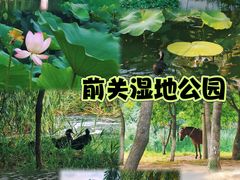 -前关湿地公园