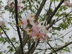 -白石龙音乐公园
