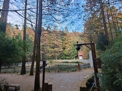 -山王坪喀斯特国家生态公园