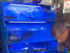 -韩妹鱼庄·泸定老字号(泸定店)