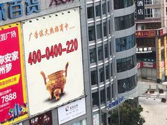 -樱花里音乐餐吧·牛扒椰子鸡(东圃店)