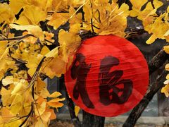 -潭柘寺景区