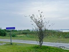 -七的湖·晚芳亭·阳澄湖农家菜·大闸蟹(莲花岛店)