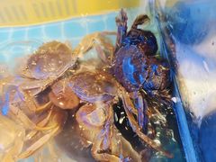 -星伦多自助料理(永旺店)