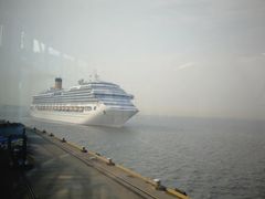 -吴淞炮台湾湿地森林公园烧烤区