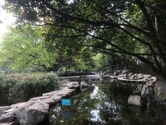 -神仙树公园