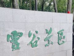 -灵谷景区