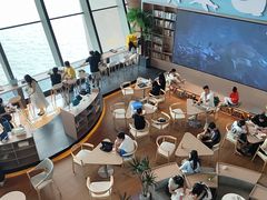 -抱抱地球咖啡馆(国家海洋博物馆店)