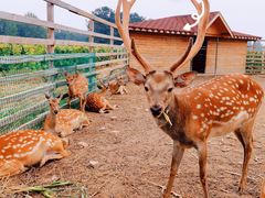 -安德鲁户外烧烤帐篷营地(马泉营店)