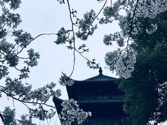 -堤角公园