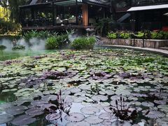 -静安公园(静安寺街道)