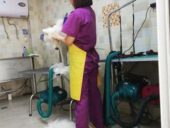 -宠颐生宠物医院·骨外科·犬猫全科诊疗中心(池州店)