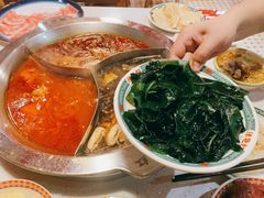 海带芽-陈艳红火锅菜·冒菜(簋街店)