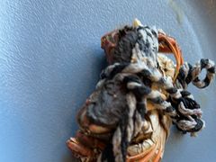 -济南凯宾斯基酒店-THE VIEW云景全日制餐厅