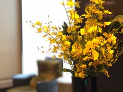 -北京三里屯CHAO酒店