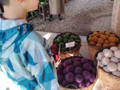 -大象粑粑造纸公园