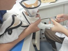 -博特宠物医院24h犬猫全科.骨科·异宠