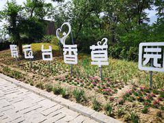 -紫云台香草园