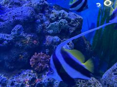 -正佳极地海洋世界