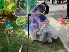 -灵玲国际马戏城